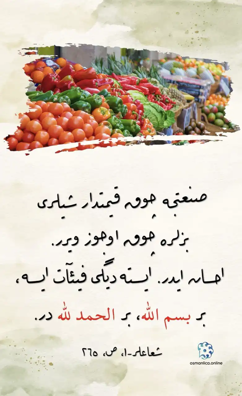 Vecize